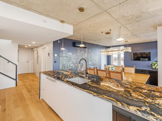 maison à vendre Montréal (Rosemont/La Petite-Patrie)