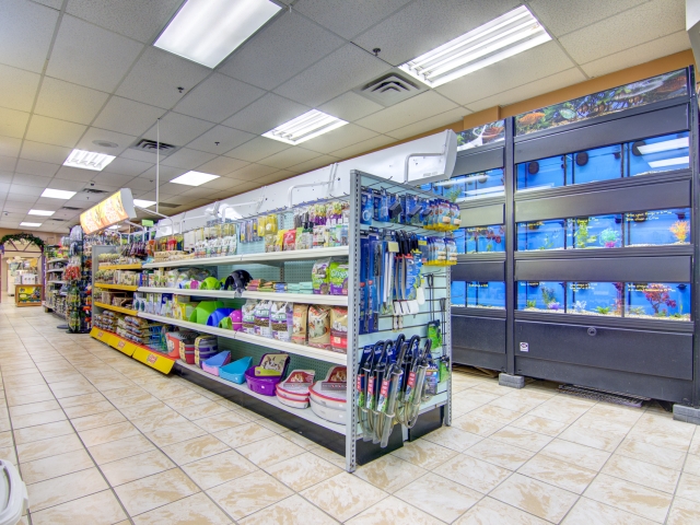 maison à vendre Montréal (Rivière-des-Prairies/Pointe-aux-Trembles)